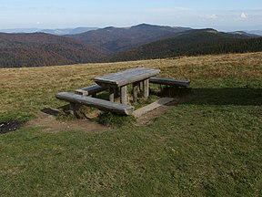 Widok z polany na Jaworzynie Kamienickiej