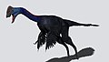 Ojoraptorsaurus