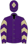 Purple, beige and purple chevrons on sleeves, purple cap, beige diamond