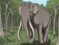 Phanagoroloxodon