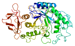 Pankreas-Amylase