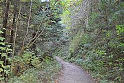 Purisima Creek Trail