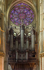 The organ