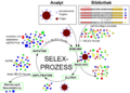 Der SELEX-Prozess