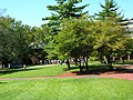 A view of the campus of Stevens Institute of Technology during the 2007 Freshman Orientation.