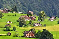 Die Toggenburger Häuser prägen heute noch das Landschaftsbild im Tal. Südhang in Unterwasser