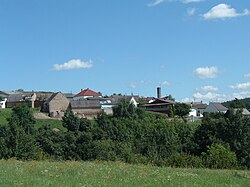 Óhodász