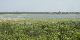 Uitzicht over het Beuven met oeverzones