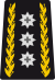 OF-8 - Lieutenant general