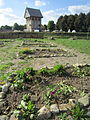 Beete auf der Garteninsel; im Hintergrund der Burgturm