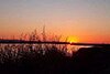 Cosumnes River Preserve