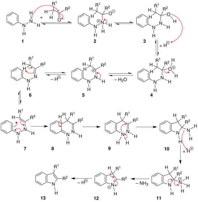 Mechanismus der Fischer-Indol-Synthese