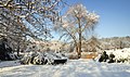 Grüttpark Lörrach im Winter