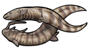 Harpagofututor volsellorhinus