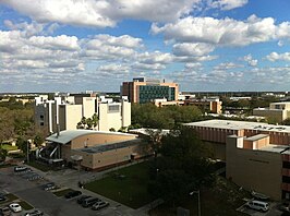 USF Campus