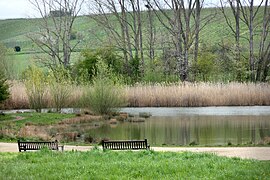 Die Mühlbachaue – renaturiertes Biotop und Landschaftspark