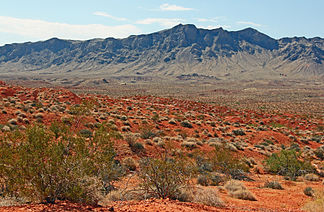 Die Muddy Mountains in Nevada.