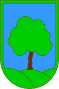 Wappen von Občina Ravne na Koroškem