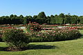 Schönbrunner Rosarium, Wien