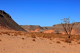 Wadi Hamra