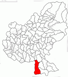 Location in Mureș County