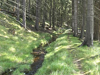 Der Kanal bei Kladské rašeliny (deutsch Glatzener Moor) Die mittlerweile bewachsenen Hänge täuschen über die ehemalige Breite