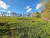 Staunasse Wiese am Kux-Teich