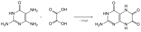 Synthese von Leukopterin nach Purrmann