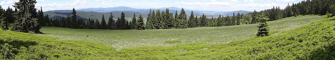 Panorama widokowa z Mokradskiej Hali