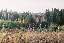 Jakšur-Bod'inskij rajon – Veduta