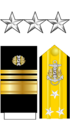 Distintivo per paramano dell'uniforme ordinaria invernale, controspallina estiva e fregio da colletto JAGC USN