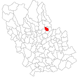 Location in Prahova County