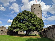 Östlicher Bergfried und Linde