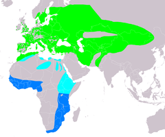 Mapa występowania