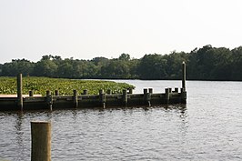 Choptank River in Denton