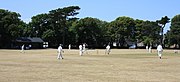 Cricket being played at Clarence Park