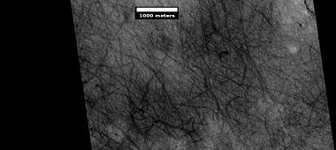 Dust devil tracks, as seen by HiRISE under HiWish program. Location is Casius quadrangle.