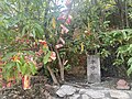 Fertility tree at Kusu Island