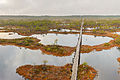 Männikjärve Bog