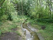 Renaturierter Abschnitt der Osterbek am Berberweg