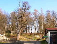 Der (Neue) Schloßberg Eslarn (Herbst – geolog. Struktur)