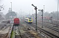 * Cat Bahnhof Mengen