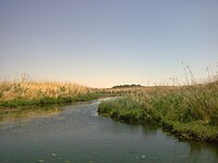 Azraq Oasis