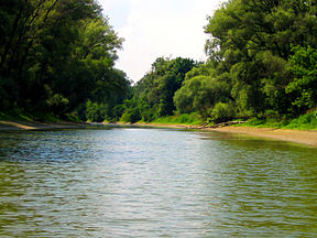 Die Donau-Auen bei Hainburg an der Donau