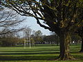 Llandaff Fields, Cardiff