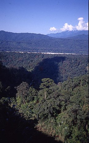 Waldlandschaft im Namdapha-Nationalpark