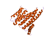 2c23: 14-3-3 PROTEIN BETA (HUMAN) IN COMPLEX WITH EXOENZYME S PEPTIDE