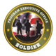 Program Executive Office, Soldier