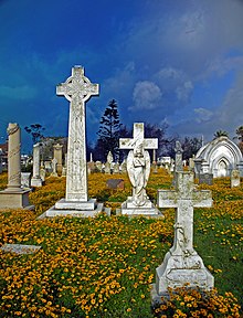 Broadway Cemetery Historic District in Galveston, Galveston County