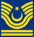 Astsubay Kıdemli Başçavuş rütbesi (Türk Hava Kuvvetleri)